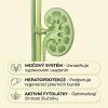 chanca piedra kapsle cz infografika 03