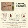 cz sangre infografika 01