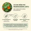cz licho forte infografika 01