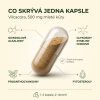cz vilcacora cps infografika 01