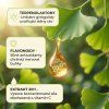 ginkgo biloba infografika cz 01