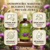 ostropestrec tinktura 50ml cz infografika 03