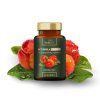 Acerola FORTE + D3 & Zinek – Komplex pro imunitu, 50 kapslí