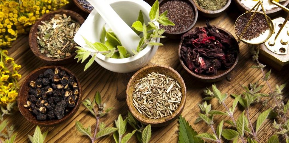 Fitoterapia czyli lecznicza alchemia ziołowa!