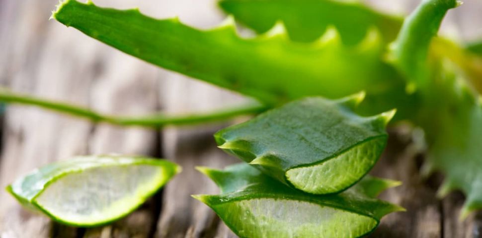 Co ma wrzesień wspólnego z dobrym trawieniem?