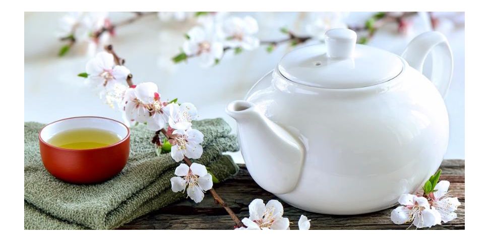 Wg medycyny chińskiej - na wiosną króluje energia drzewa