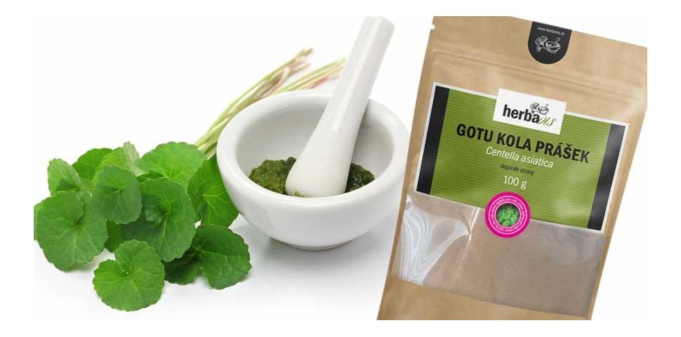 Gotu kola - pochodzenie, właściwości, zastosowanie