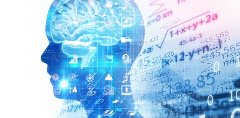 Ziołowe skarby dla mózgu – odkryj moc Brahmi, Gotu kola i Ginkgo biloba