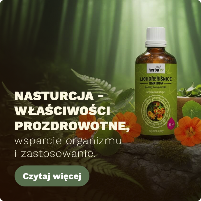 Banner Střed - Blog - Lichořeřišnice - Mobil