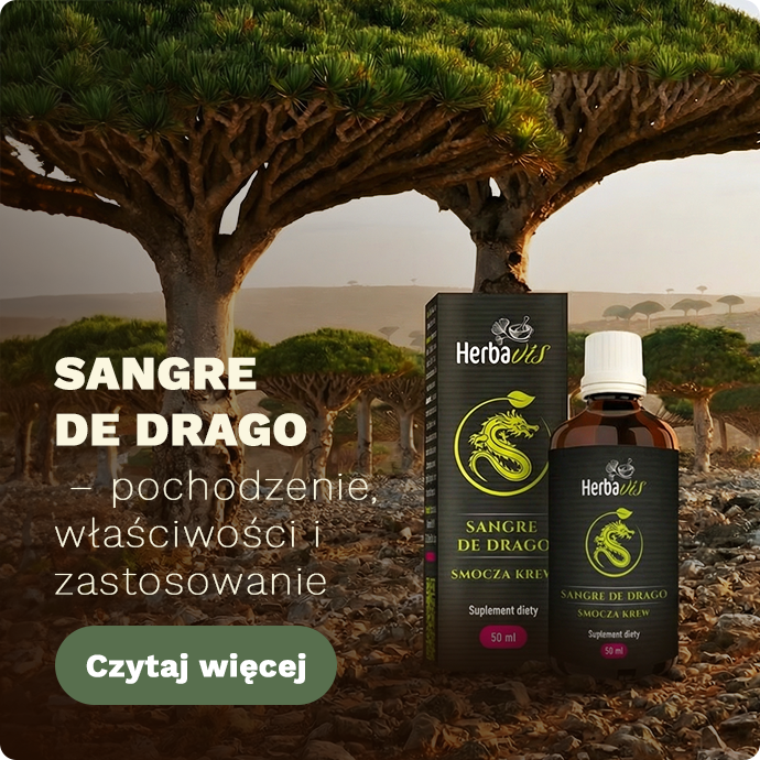 Banner Střed - Blog - Sangre de drago - Mobil