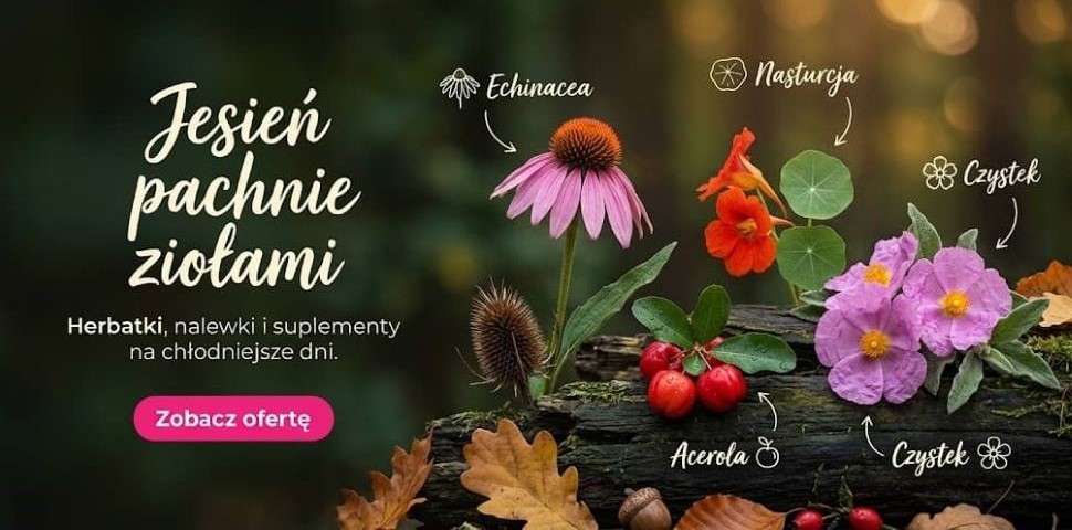Jesień pachnie ziołami