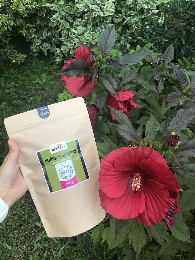Hibiskus sabdariffa - opakowanie herbaty z Hibiskusa