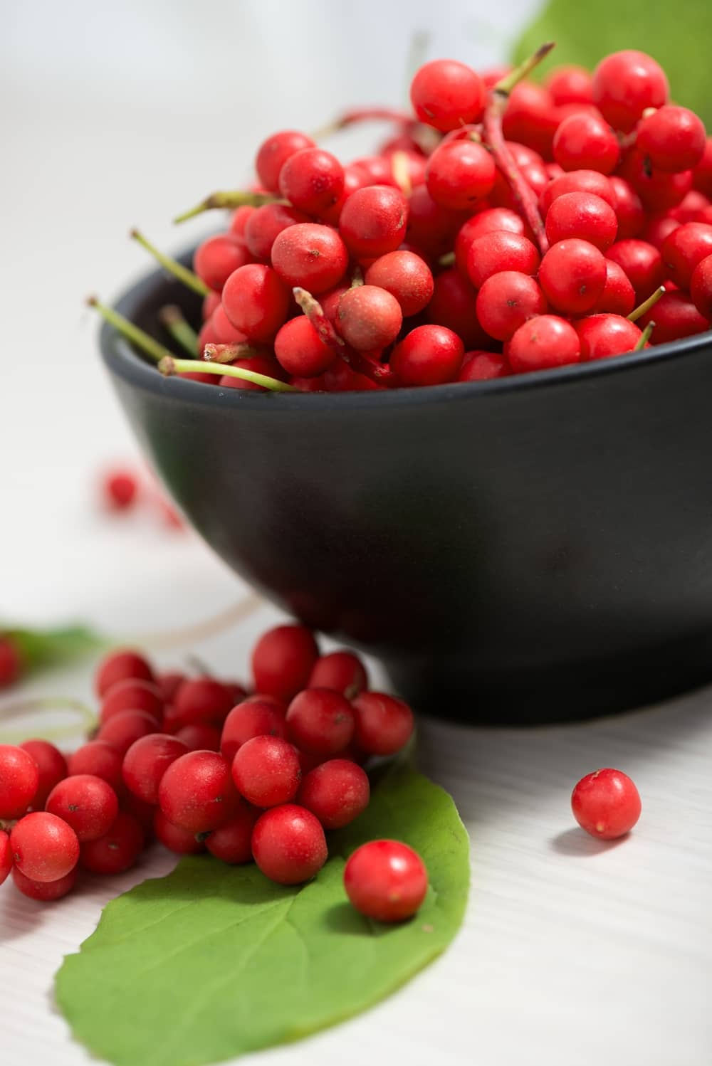Cytryniec chiński -(Schizandra chinensin) - właściwości i zastosowanie | HerbaBlog | Herbavis.pl