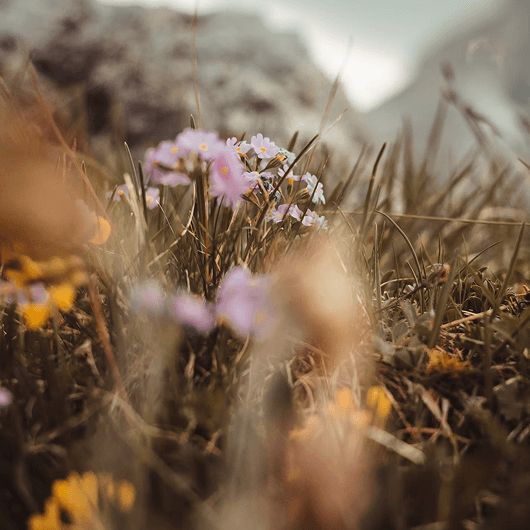 Medycyna holistyczna