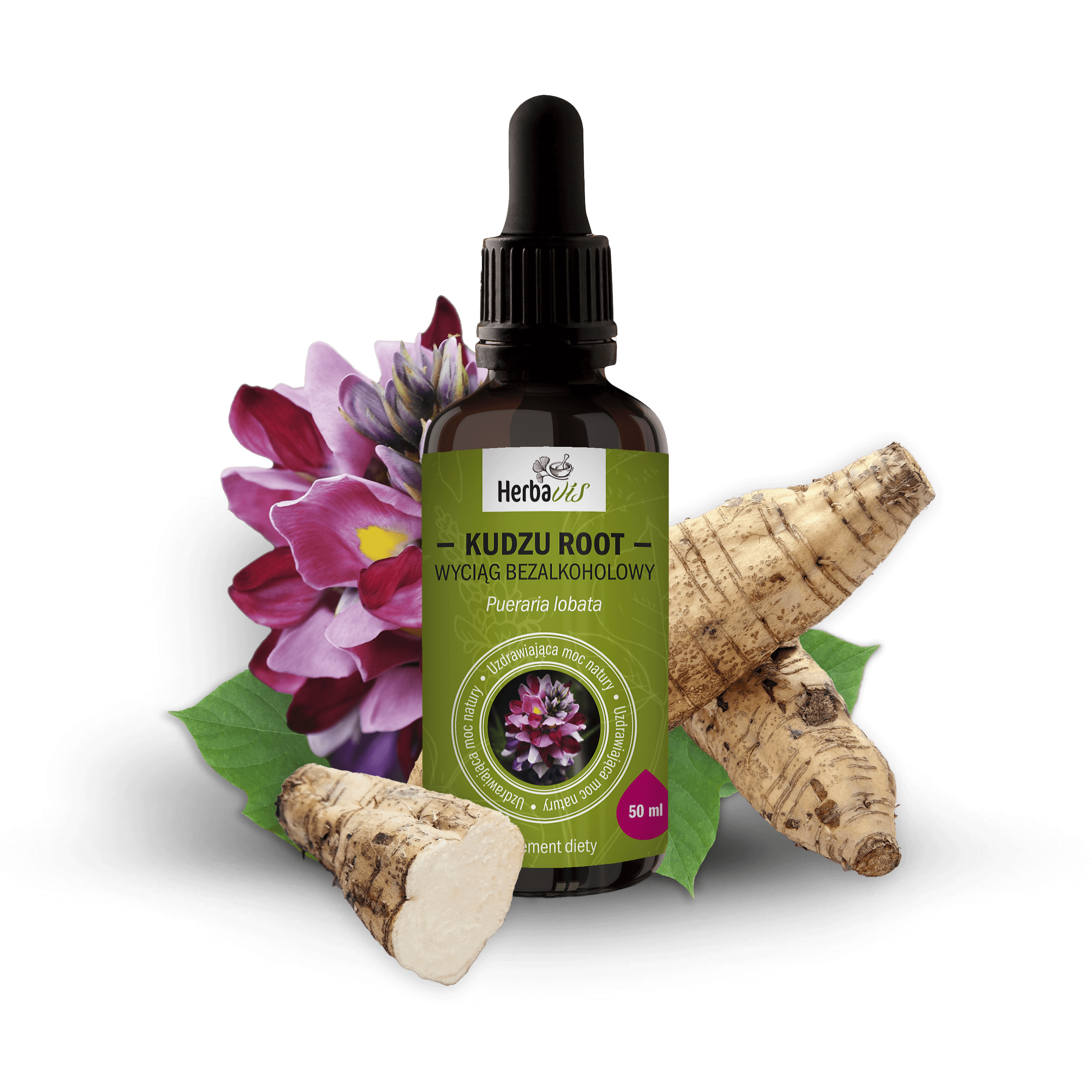 Nalewka z Kudzu dla wsparcia organizmu i wątroby w płynie