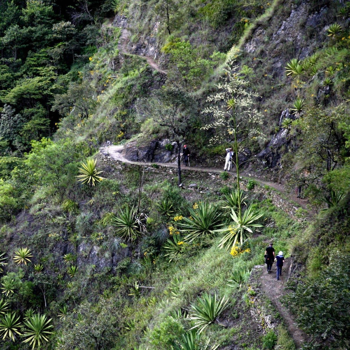 Krajobraz Peru - lasy Amazonii i Andy