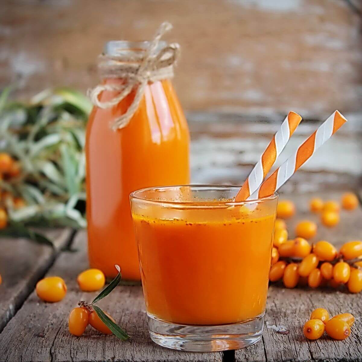 Sok i owoce rokitnika - Złoto Syberii