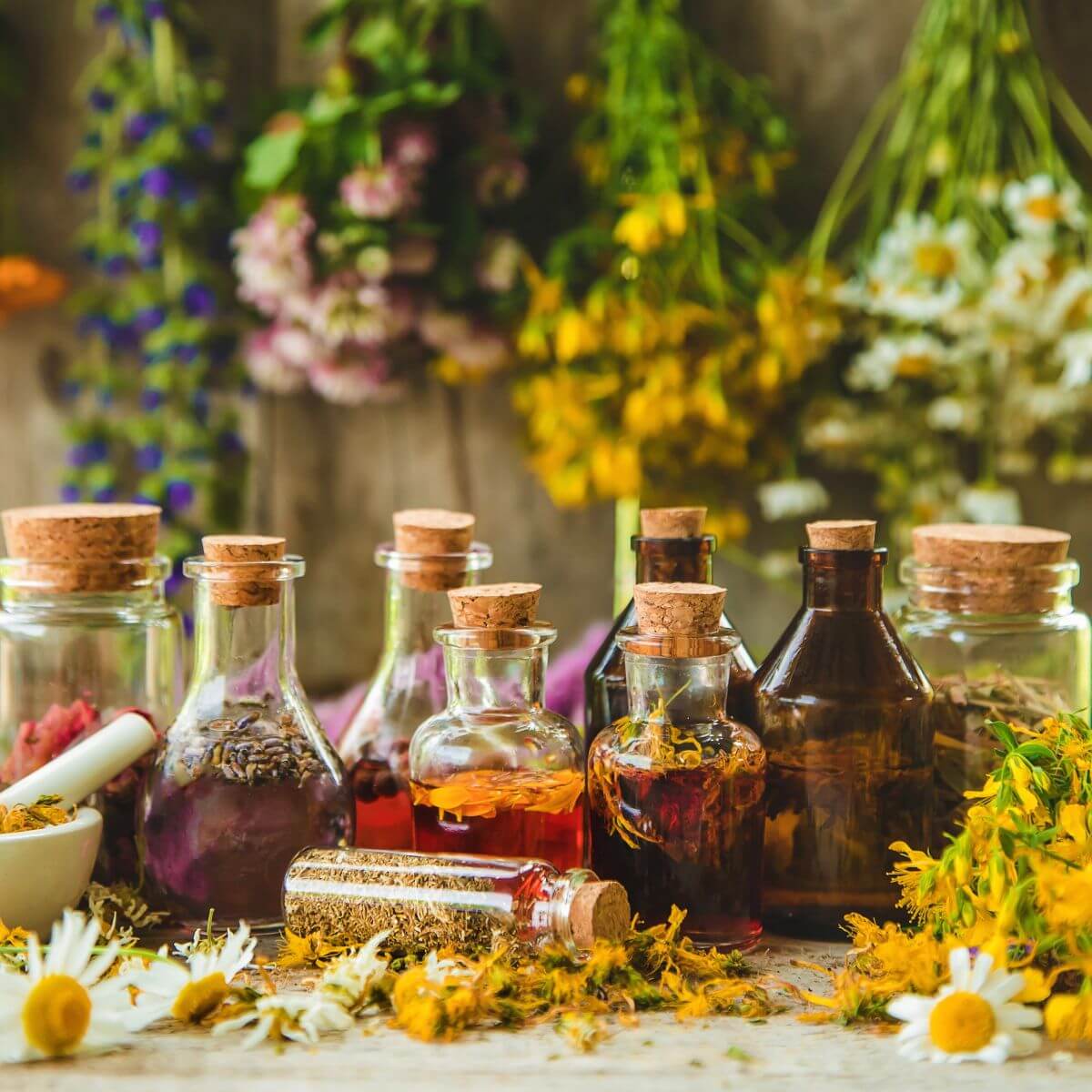 Harmonia Ciała - Mieszanka ziołowa na uspokojenie i trawienie