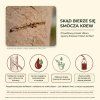 pl sangre infografika 01