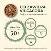 pl vilcacora infogragika 04