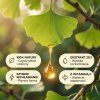 ginkgo biloba infografika pl 01