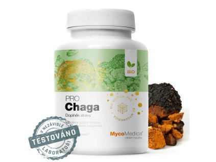chaga detail s razitkem kopie 3.761696527