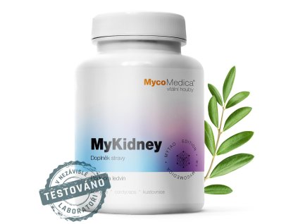 mykidney detail s razitkem kopie.761696527