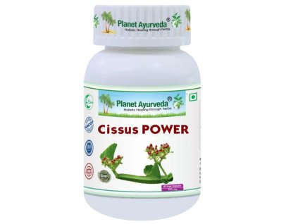 cissus