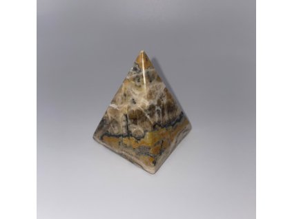 521543824 1093153159446236 4614177838213106415 n