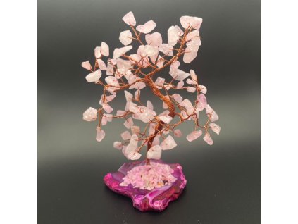 515869238 1121160616007234 5013784144434445557 n