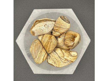 Jaspis obrázkový L