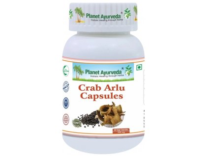 Snímka obrazovky 2025 08 18 133807