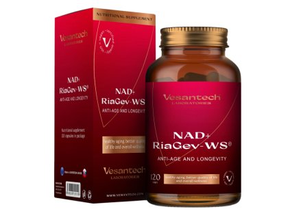 Snímka obrazovky 2025 12 19 150356