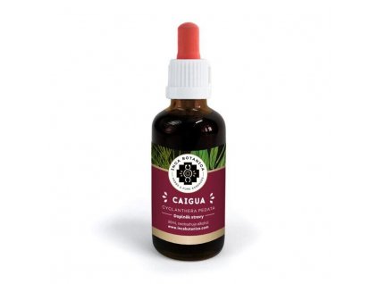 ib caigua 16006931264917 0x720 tt 90