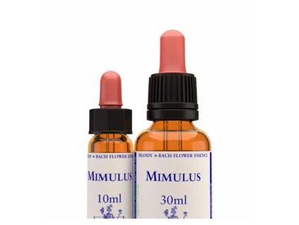 virtusia bachovky Mimulus 300x300