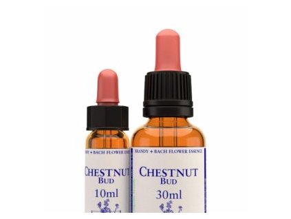 virtusia bachovky ChestnutBud 300x300