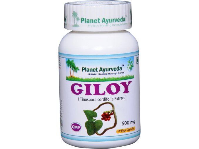 giloy