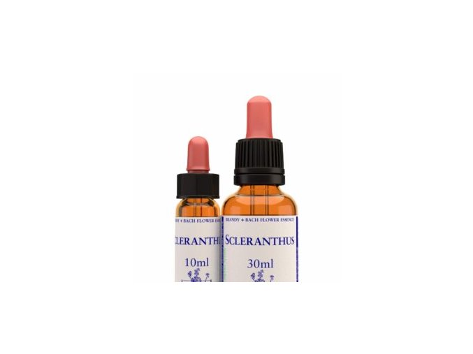 virtusia bachovky Scleranthus 300x300