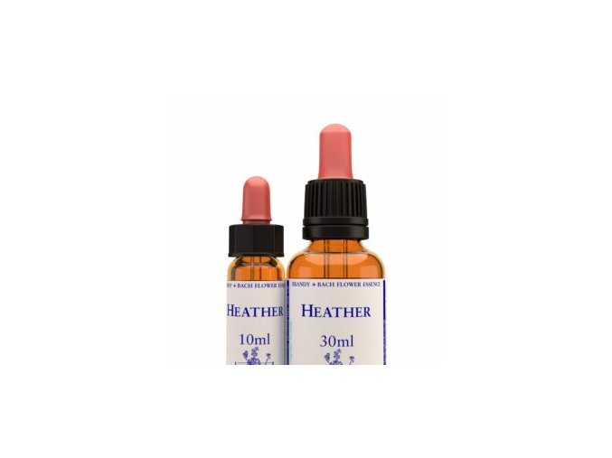 virtusia bachovky Heather 300x300
