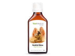 117 rozbita fletna kopie 2.2666921323