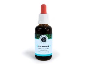 cardica extrakt inca botanica 1634911532382 0x720 tt 90