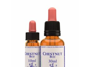 virtusia bachovky ChestnutBud 300x300