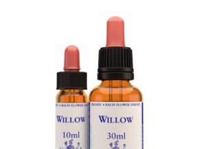 virtusia bachovky Willow 300x300