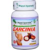 garcinia