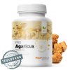 agarikus detail s razitkem kopie 2.761696527