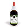 uncaflora extrakt inca botanica 16130658903481 0x720 tt 90