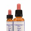 virtusia bachovky ChestnutBud 300x300