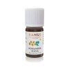 virtusia hanus 5ml koriander 1