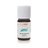 virtusia hanus 10ml lemongrass 1