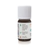 virtusia hanus 10ml skorica list 2